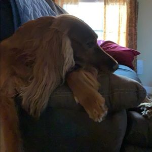 Meet your Posher, Cindy